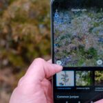 Aplicación para identificar animales y plantas sólo con una foto